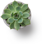 Blink, and you're hired